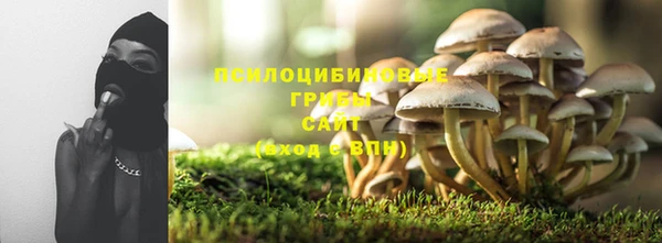 винт Медвежьегорск