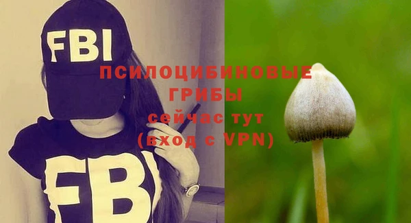 винт Медвежьегорск