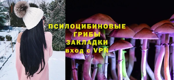 винт Медвежьегорск