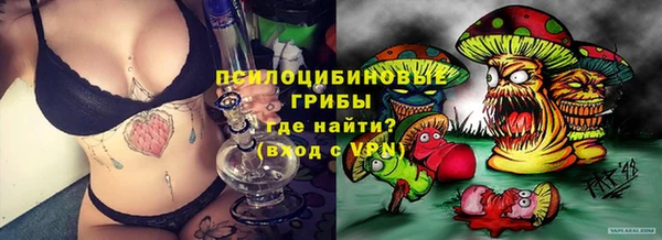амф Медногорск