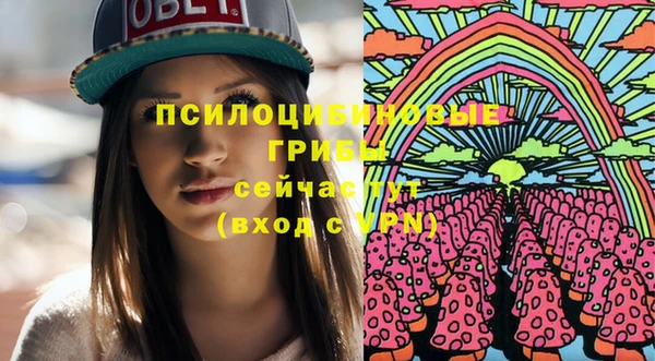 амф Медногорск